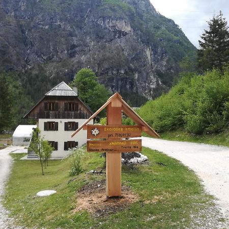 شقة Organic Tourist Farm Pri Plajerju ترينتا المظهر الخارجي الصورة